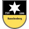 SG Rauschenberg*