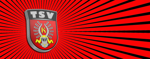 TSV gewinnt zum Abschluß 3:0
