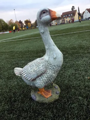 06.11.2016 TSV 1886 Kirchhain vs. SC Gladenbach